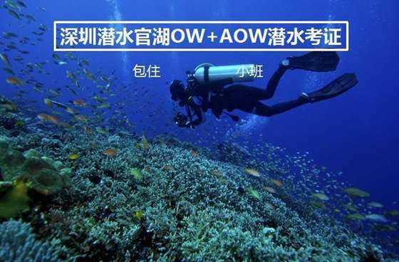 百善孝为先，她目睹弟弟被拐父母自尽，长大之后为何要开棺验尸？